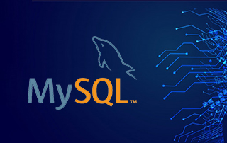 Mysql百万级数据量查询优化专题课程