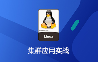 Linux集群应用实战视频