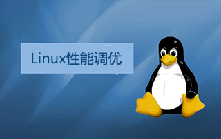 我赢职场之Linux性能调优经典视频教程