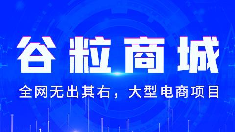 尚硅谷2020谷粒商城项目