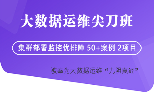 大讲台-大数据运维尖刀班2期【价值8180元】