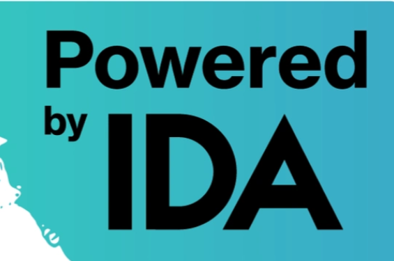 天草VIP系列IDA逆向与反汇编培训教程百度网盘下载